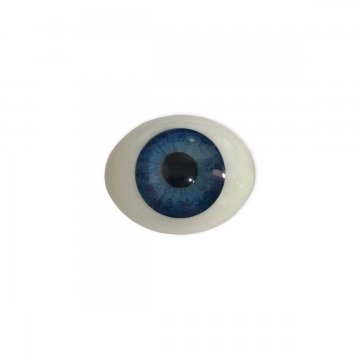Olho de Vidro Oval OUR-02